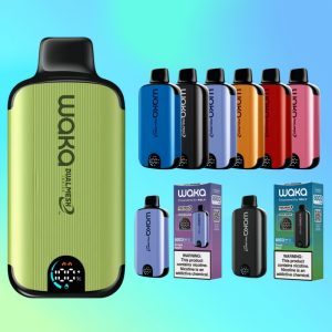 Waka soPro DM8000i | Vape Finland