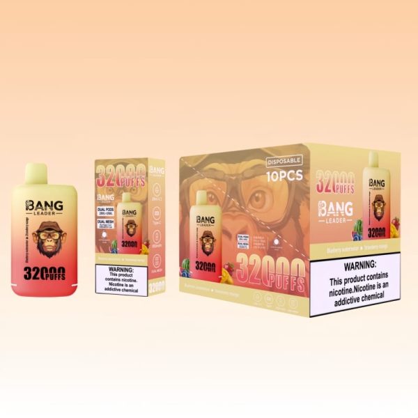 Bang Leader 32000 Puhallusta | Vape Finland Bang Leader 32000 Puhallusta | Vape Finland