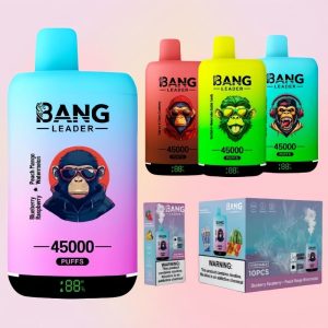 Bang Leader 45000 Puffs | Vape Finland
