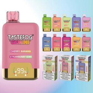 Tastefog Gemini 25000 Puhallusta | Vape Finland